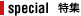 special ���W
