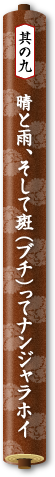 其の九　晴と雨、そして斑（ブチ）ってナンジャラホイ